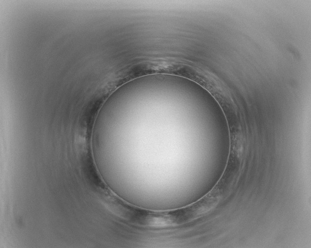 X0000116790510200912241204