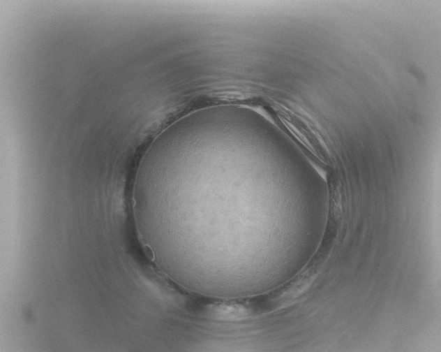 X0000116790512200912241204