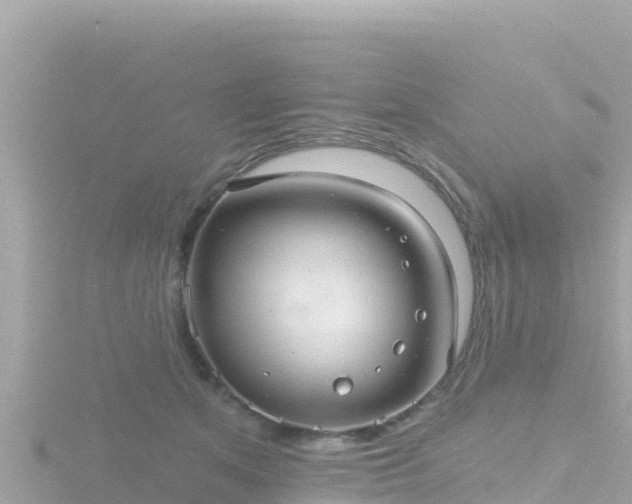 X0000116790513200912241204