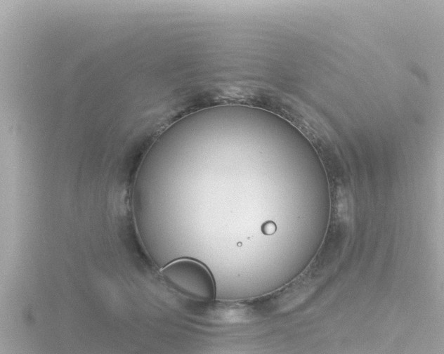 X0000116790514200912241204