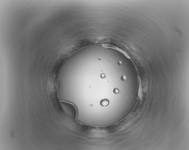 X0000116790515200912241204