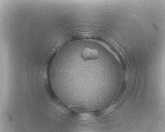 X0000116790516200912241204