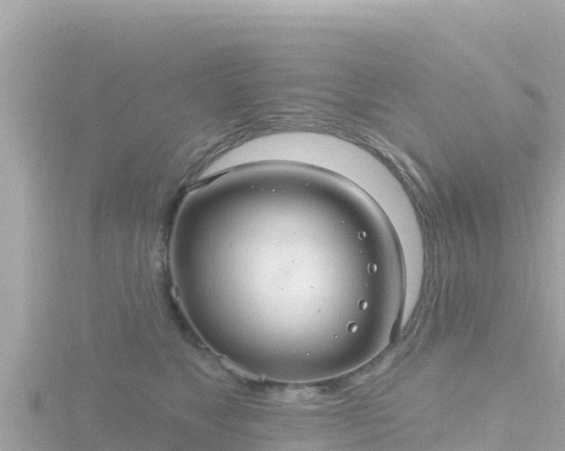 X0000116790517200912241204