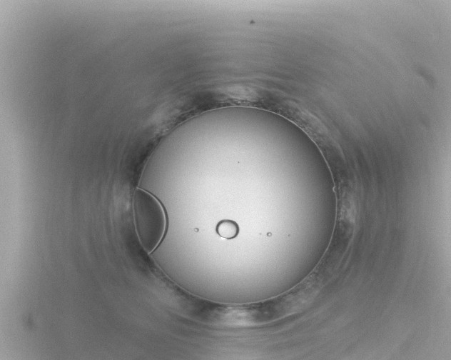 X0000116790518200912241204