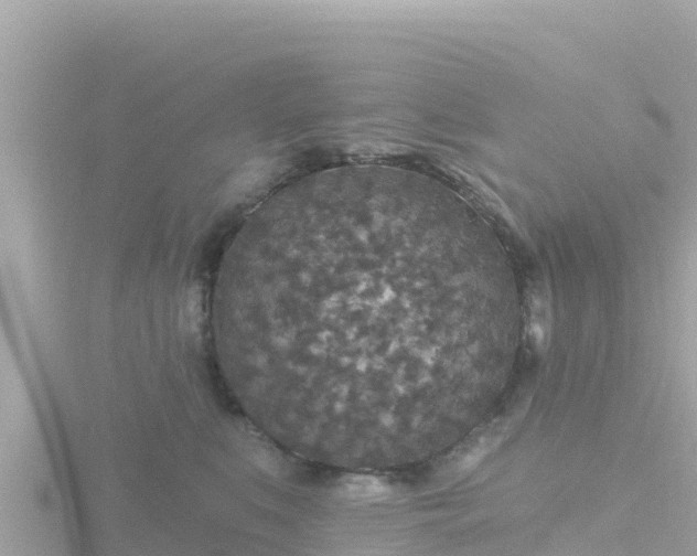 X0000116790519200912241204