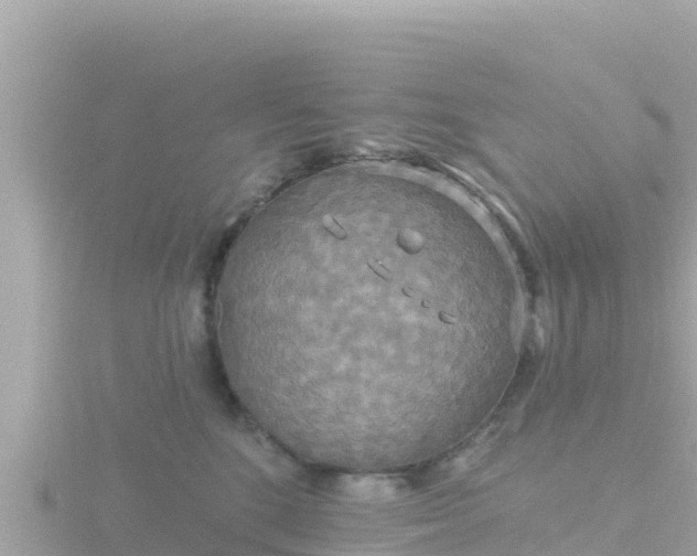 X0000116790520200912241204