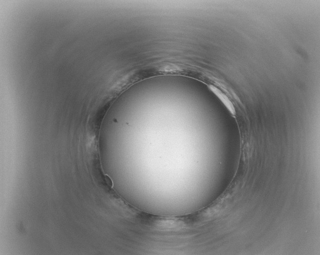 X0000116790521200912241204