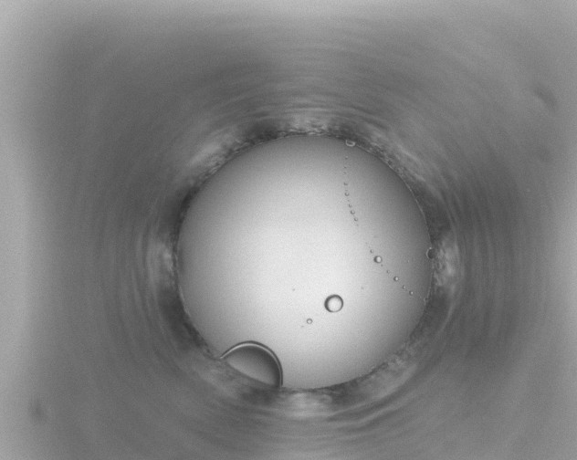 X0000116790522200912241204