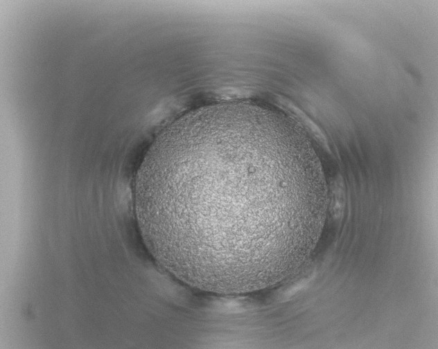 X0000116790523200912241204