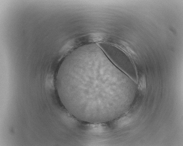 X0000116790524200912241204