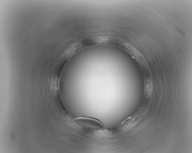 X0000116790525200912241204