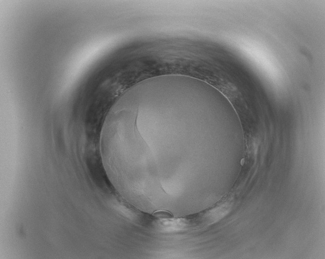 X0000116790526200912241204