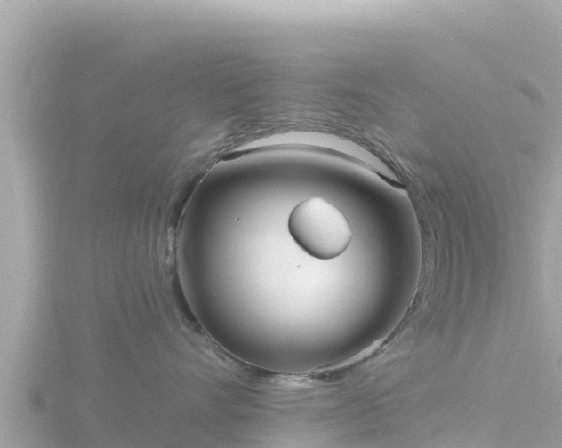 X0000116790528200912241204