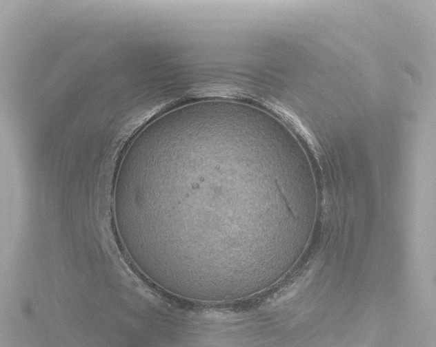 X0000116790529200912241204