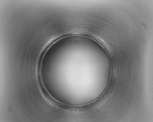 X0000116790530200912241204