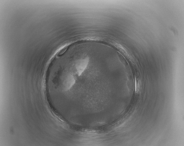 X0000116790531200912241204