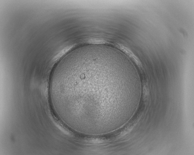 X0000116790533200912241204