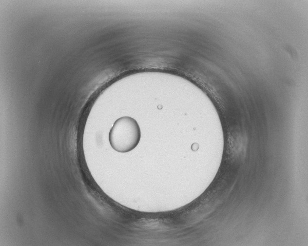 X0000116790534200912241204