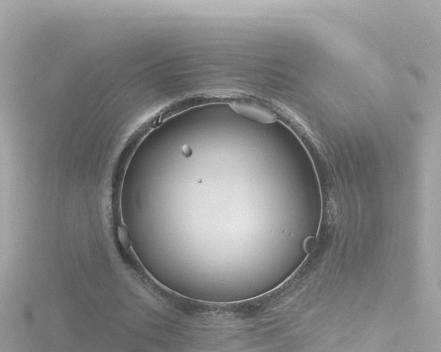 X0000116790535200912241204