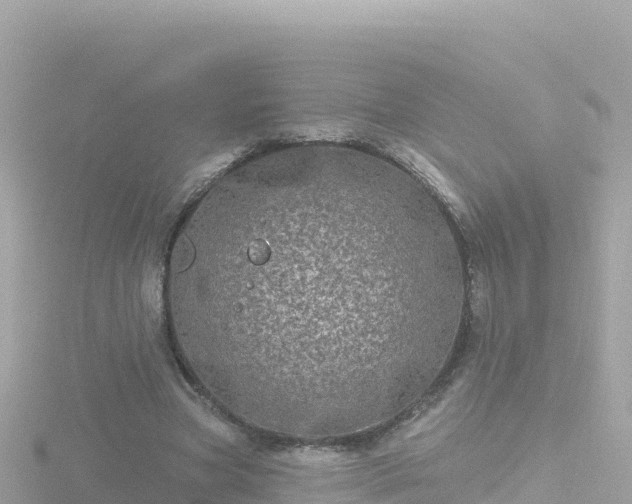 X0000116790537200912241204