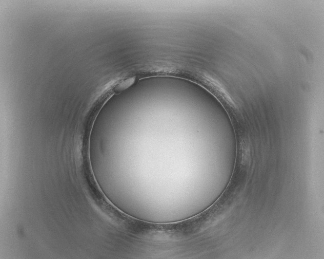 X0000116790538200912241204