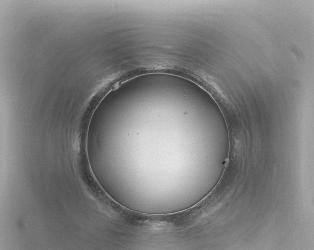 X0000116790539200912241204