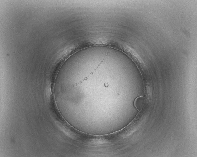 X0000116790541200912241204