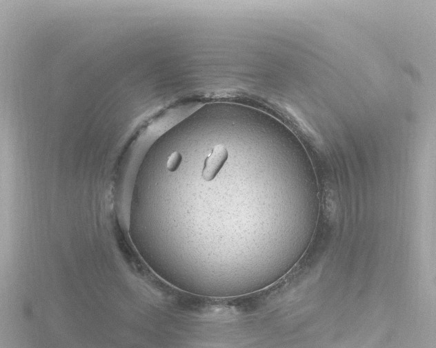 X0000116790543200912241204