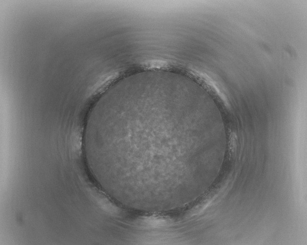 X0000116790545200912241204