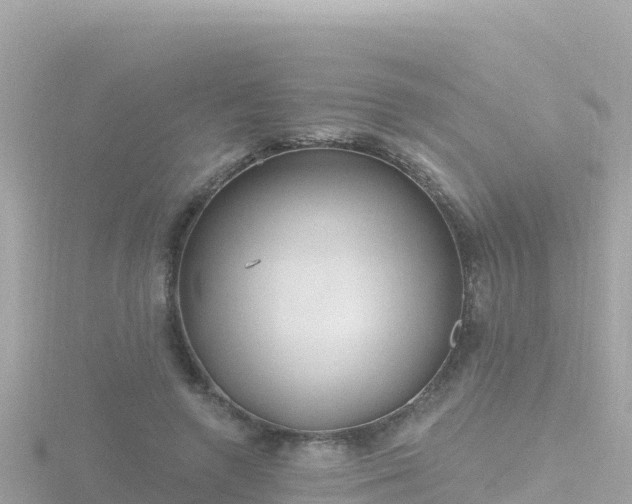 X0000116790546200912241204