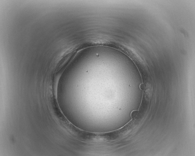 X0000116790547200912241204