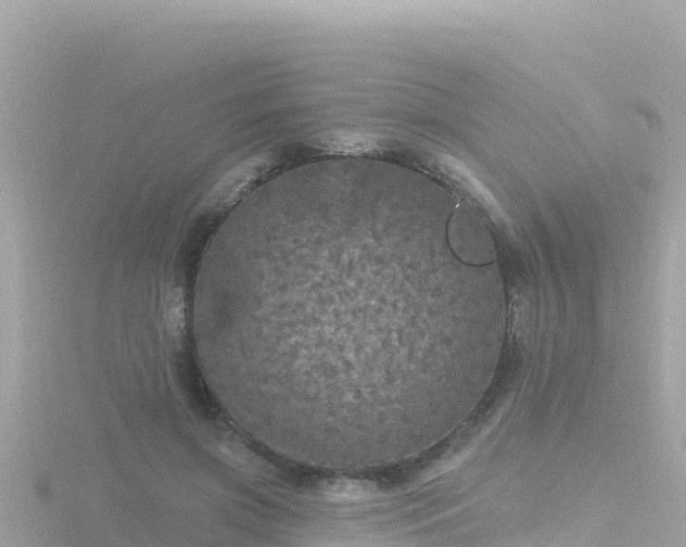 X0000116790549200912241204