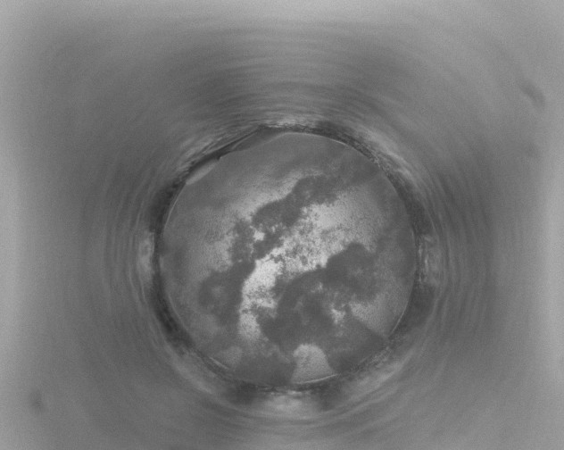 X0000116790550200912241204