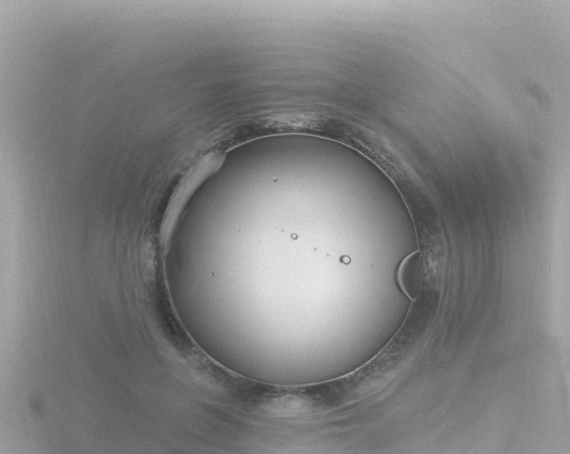 X0000116790551200912241204