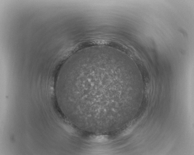 X0000116790553200912241204