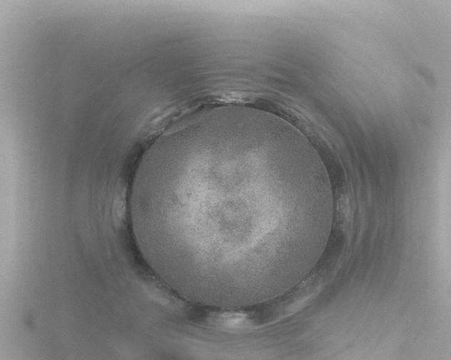 X0000116790554200912241204