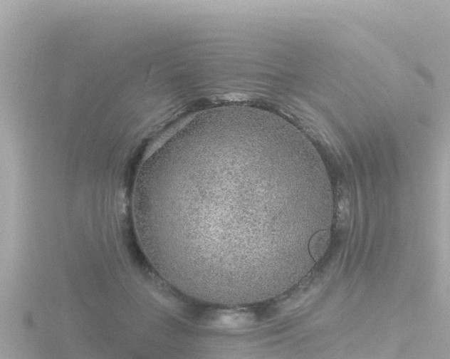 X0000116790555200912241204