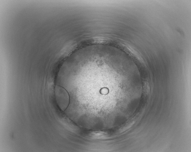 X0000116790557200912241204