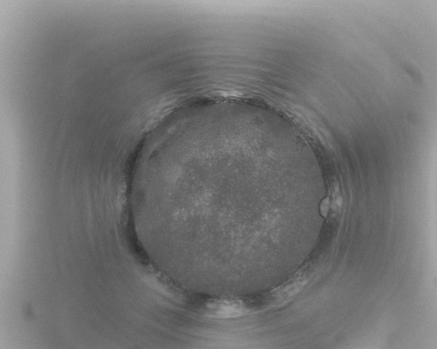 X0000116790559200912241204