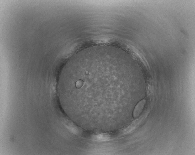 X0000116790561200912241204