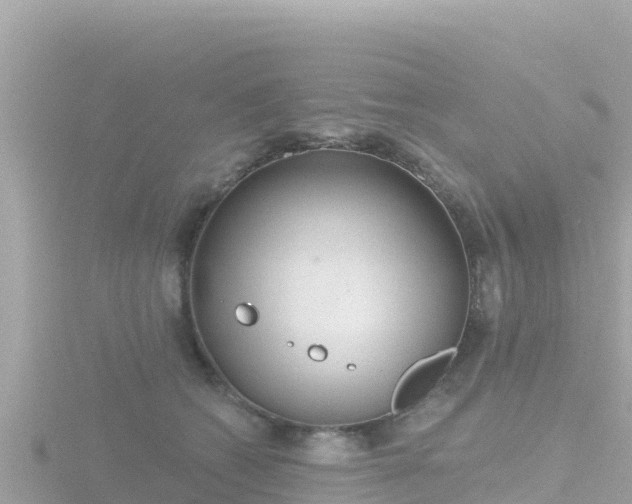 X0000116790562200912241204