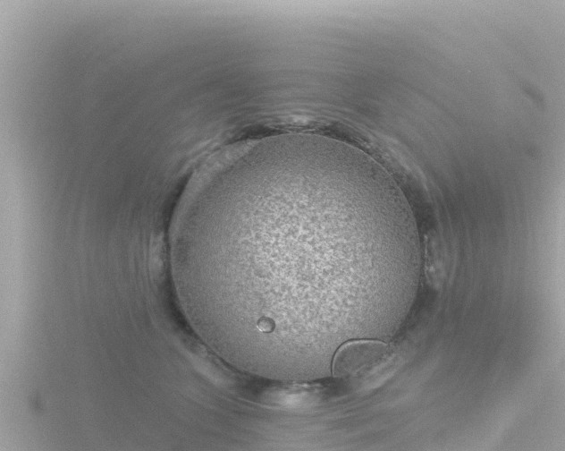 X0000116790563200912241204