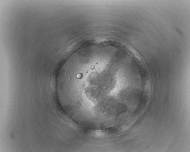 X0000116790565200912241204