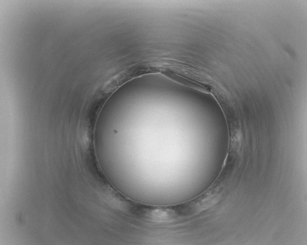 X0000116790566200912241204