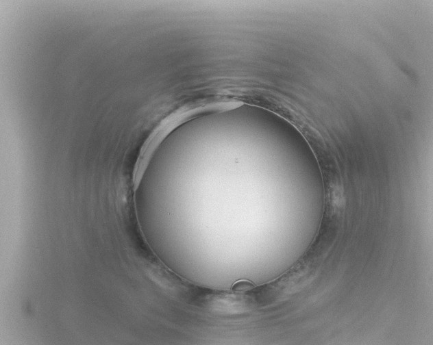 X0000116790567200912241204