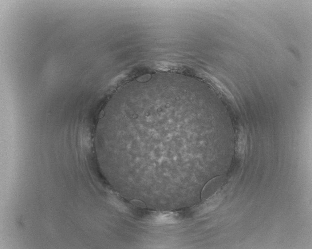 X0000116790569200912241204