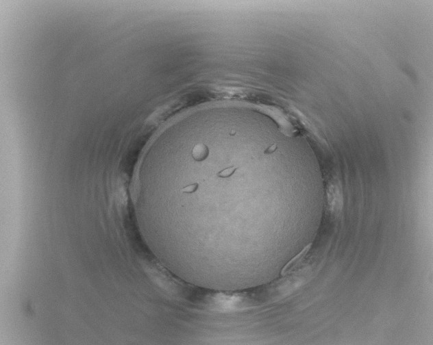 X0000116790570200912241204