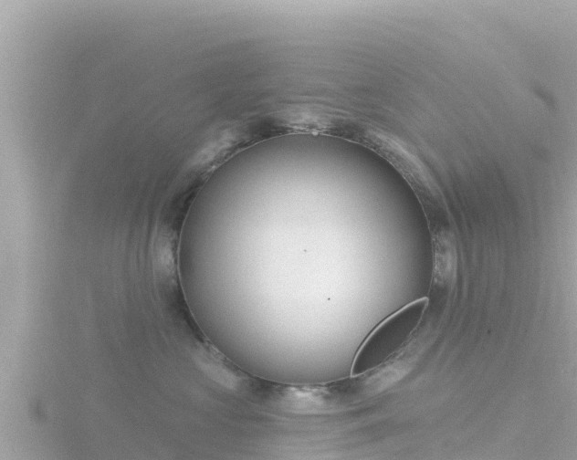 X0000116790573200912241204