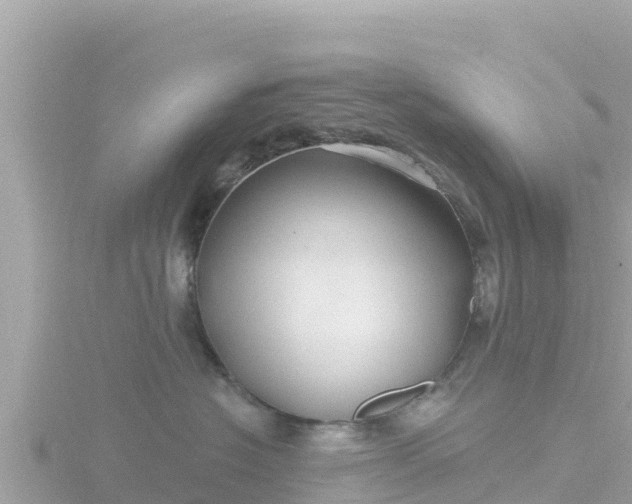 X0000116790574200912241204