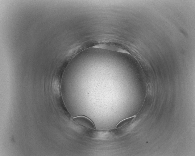 X0000116790575200912241204